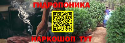 сатива Владикавказ