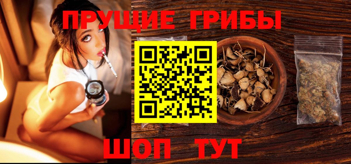 Псилоцибиновые грибы Cubensis  Псилоцибиновые грибы Magic Shrooms  Вход с VPN  Гудермес 